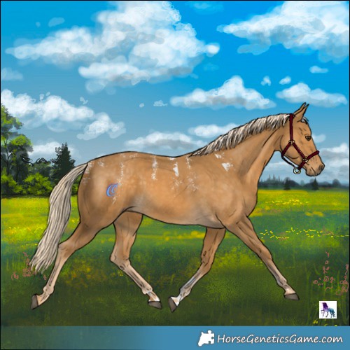 Horse Color:Powder White Palomino 