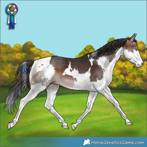 Horse Color:Brown Mushroom Splash Tobiano
