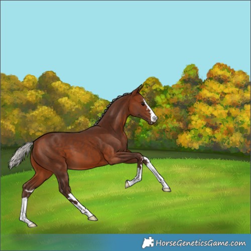 Horse Color:Silver Brown 