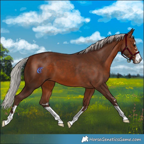 Horse Color:Silver Brown 