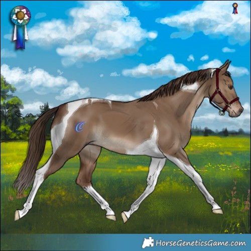 Horse Color:Liver Red Dun Tobiano