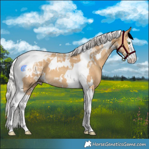 Horse Color:White Spotted Silver Sable Cream Champagne Splash Tobiano 