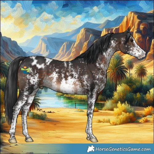 Horse Color:Brown Sabino Snowflake Varnish 