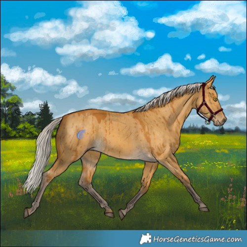 Horse Color:Silver Buckskin Dun Rabicano Brindle