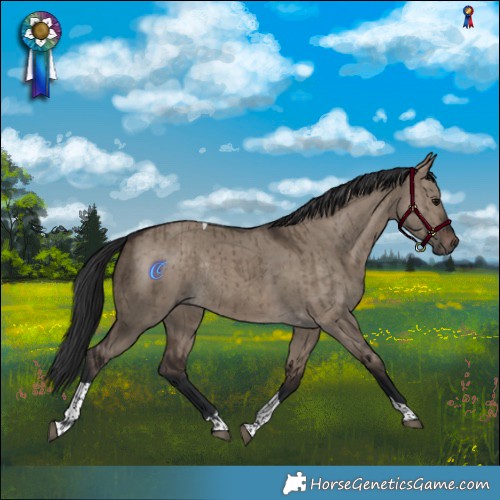 Horse Color:Brown Dun Tobiano Rabicano Brindle