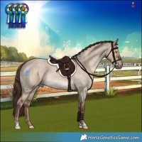 Horse Color:Liver Red Dun Roan
