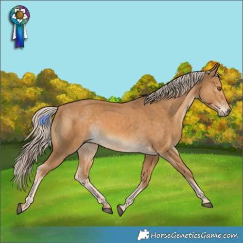 Horse Color:Palomino Mushroom Sabino Rabicano 