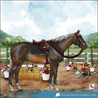 Horse Color:Gray Silver Buckskin Mushroom Tobiano Rabicano 
