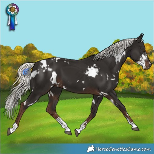 Horse Color:White Spotted Liver Chestnut Mushroom Sabino 
