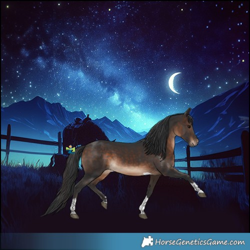 Horse Color:Brown Tobiano