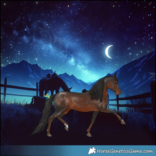Horse Color:Liver Chestnut Rabicano 