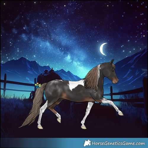 Horse Color:Liver Chestnut Tobiano 