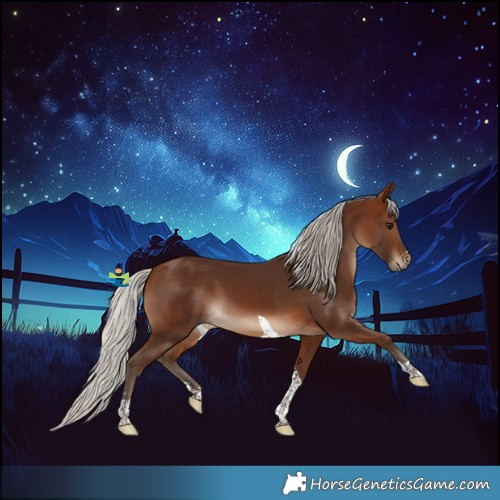 Horse Color:Silver Brown Tobiano 