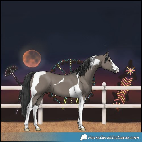 Horse Color:Grullo Tobiano 