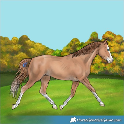 Horse Color:White Spotted Gold Champagne Splash Varnish 