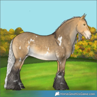 Horse Color:White Spotted Silver Buckskin Dun 