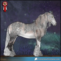Horse Color:Powder White Gray Platinum Silver Bay Dun Tobiano and Platinum Silver Buckskin Dun Tobiano
