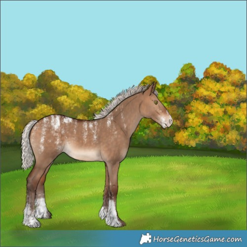 Horse Color:Powder White Silver Bay Dun 