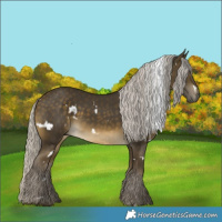 Horse Color:White Spotted Silver Buckskin 