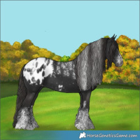Horse Color:Powder White Gray Liver Chestnut Blanket 