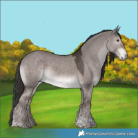 Horse Color:Platinum Liver Red Dun Tobiano