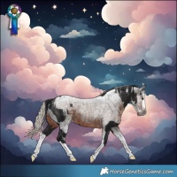 Horse Color:Powder White Gray Smoky Black Splash  and Gray Silver Brown Splash 