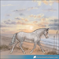 Horse Color:Powder White Silver Brown Roan Splash