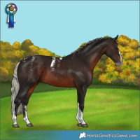 Horse Color:Powder White Gray Silver Brown Splash Tobiano
