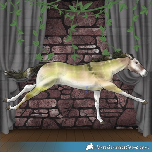 Horse Color:Plaid  Liver Red Dun Onyx Tobiano 