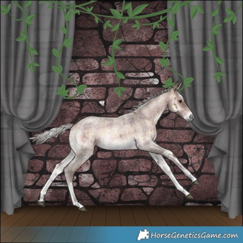Horse Color:Plaid Silver Brown Roan Onyx Tobiano