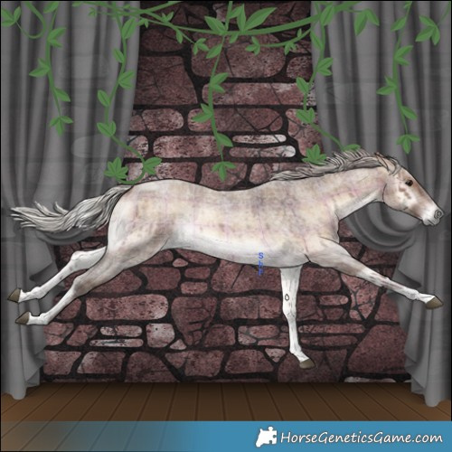 Horse Color:Plaid  Silver Brown Roan Onyx Tobiano 