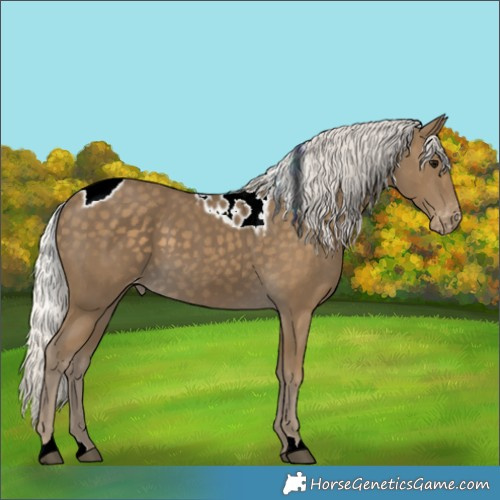 Horse Color:Silver Smoky Black Skewed LP Spotted 