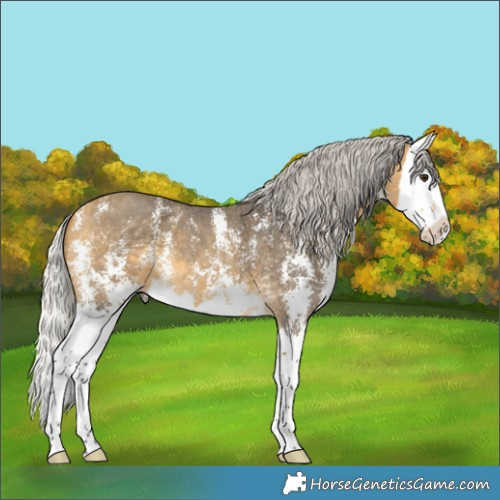 Horse Color:Silver Buckskin Sabino Splash 