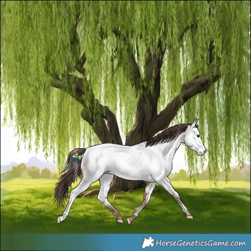 Horse Color:Classic Champagne Near Fewspot 