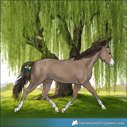 Horse Color:Classic Champagne 
