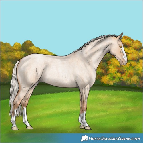 Horse Color:Silver Grullo Roan Pearl 
