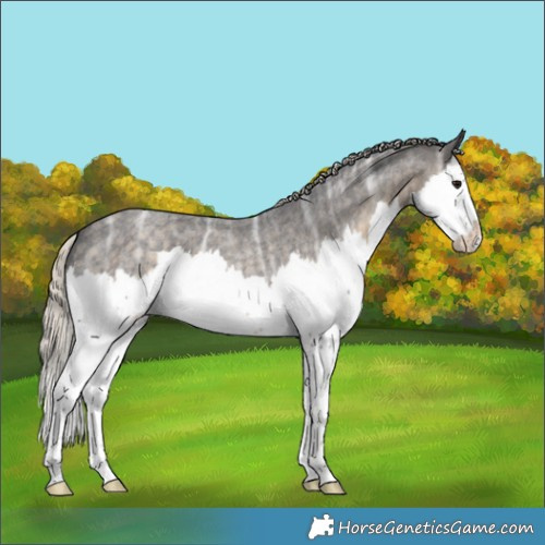 Horse Color:Silver Smoky Blue Ice Roan Splash 