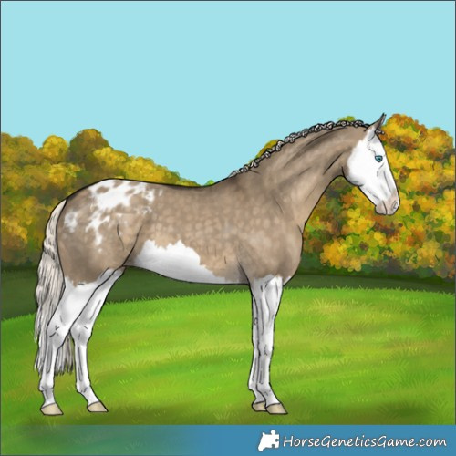 Horse Color:Silver Smoky Grullo Splash Varnish