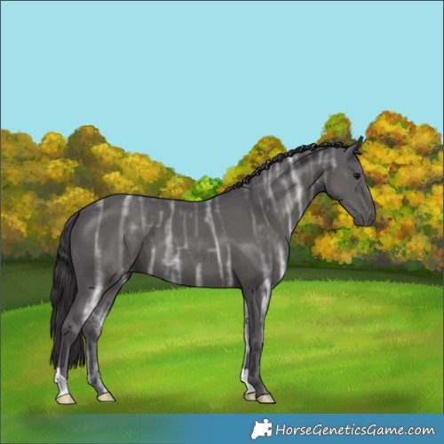 Horse Color:Smoky Black Ice