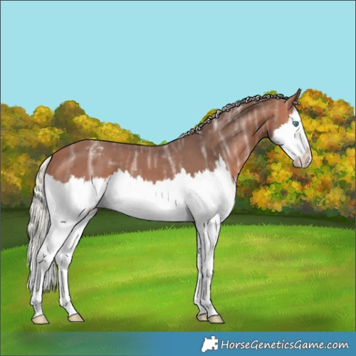 Horse Color:Silver Bay Ice Splash Varnish 