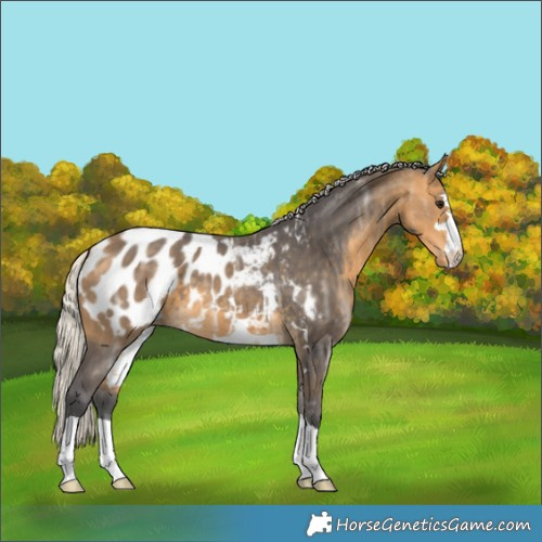 Horse Color:Silver Buckskin Ice Blanket
