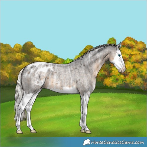 Horse Color:Silver Smoky Blue Ice Roan Splash Blanket