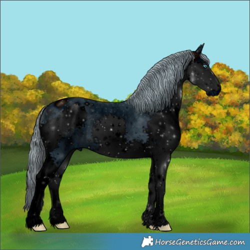 Horse Color:ERROR: UNKNOWN ANOMALY
