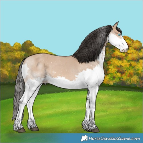 Horse Color:Bay Dun Splash 