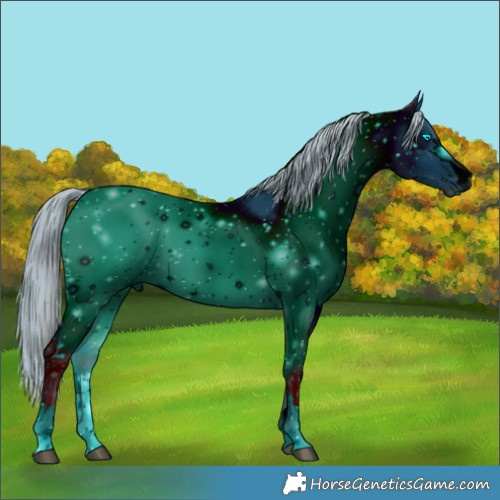 Horse Color:ERROR: UNKNOWN ANOMALY