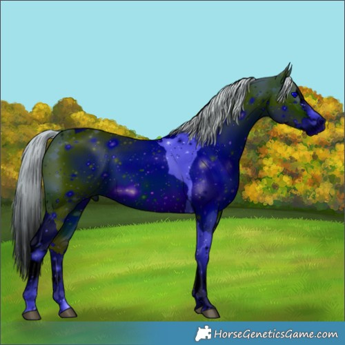 Horse Color:ERROR: UNKNOWN ANOMALY