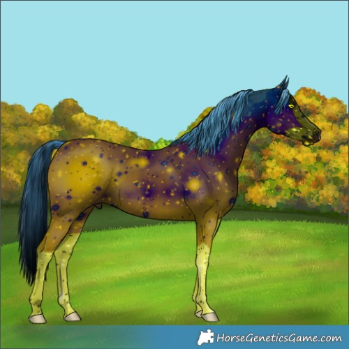Horse Color:ERROR: UNKNOWN ANOMALY