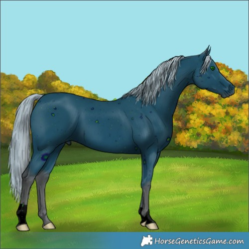 Horse Color:ERROR: UNKNOWN ANOMALY