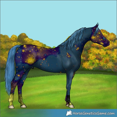 Horse Color:ERROR: UNKNOWN ANOMALY
