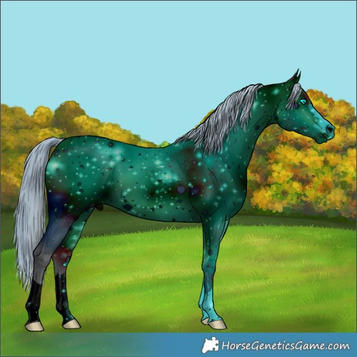 Horse Color:ERROR: UNKNOWN ANOMALY